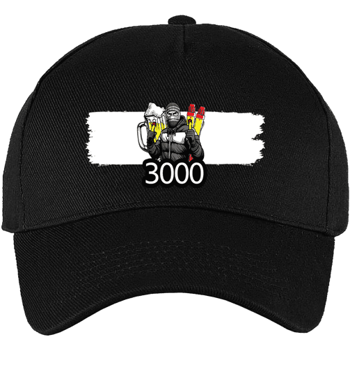 3000 