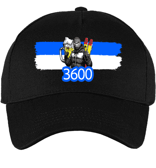 3600 Casquette