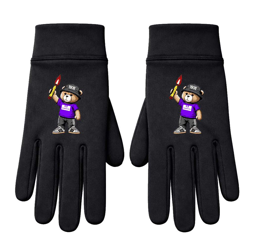 Anderlecht 1908 bear Handschoenen